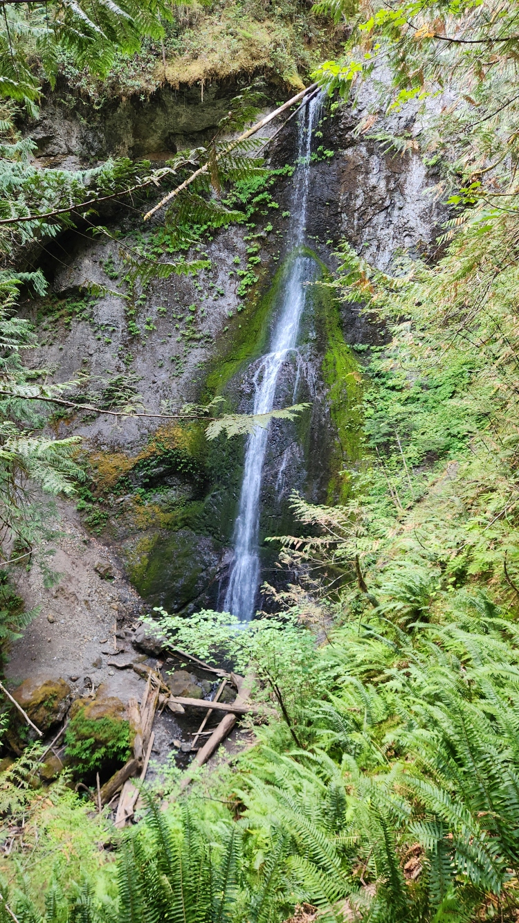 Marymere Falls Marymere Falls